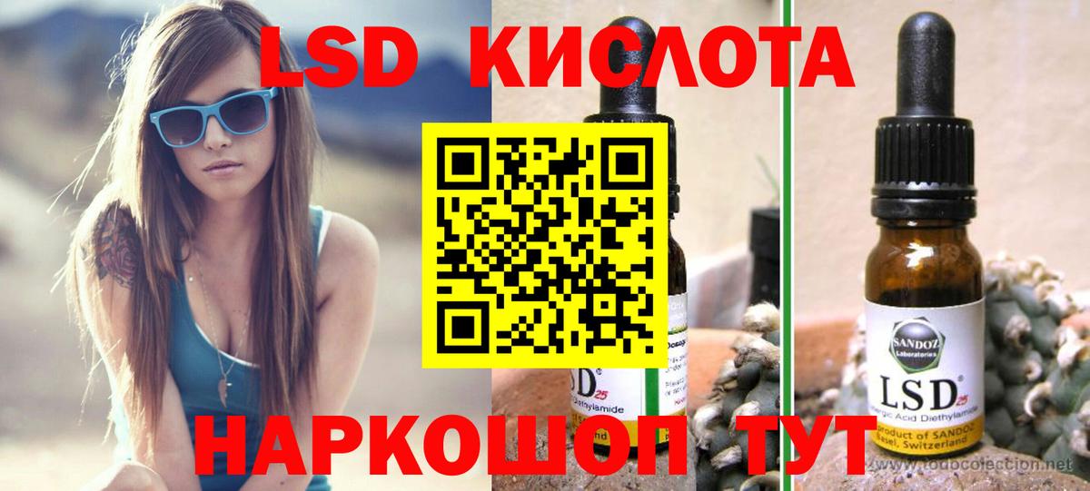 Бошки Шишки Рассказово