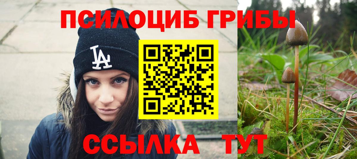 Рассказово  Псилоцибиновые грибы мицелий  Галлюциногенные грибы мицелий  Вход с VPN 
